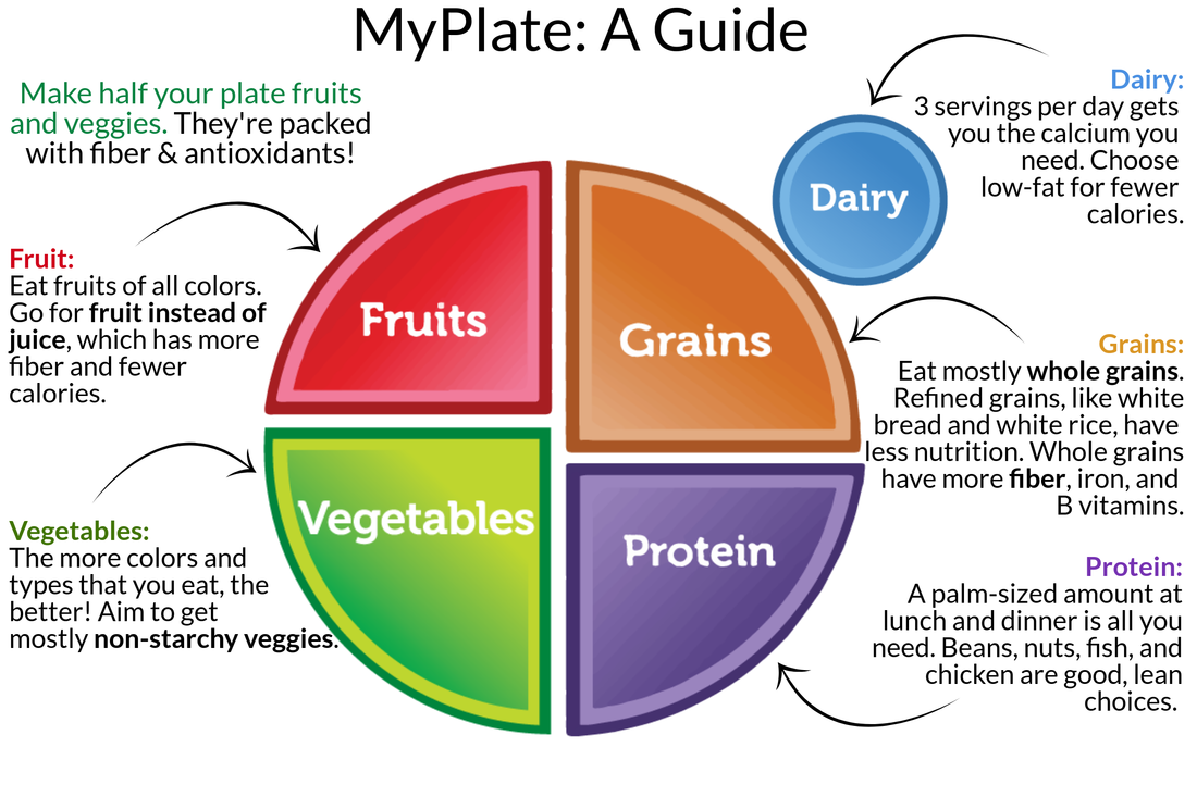 Myplate Snap4ct